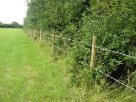 Field Fence